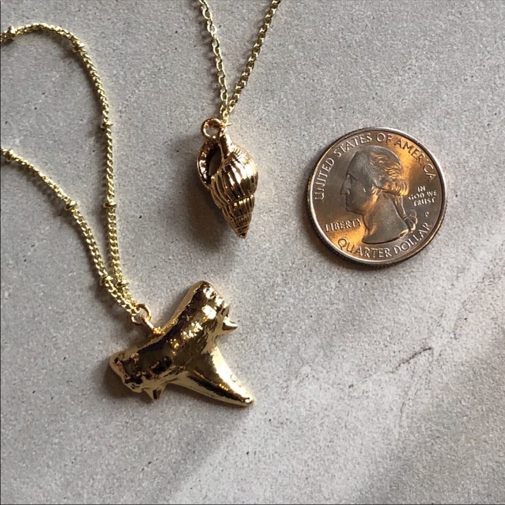 ❣️Last One❣️ 14k Gold Cowrie Shell Necklace